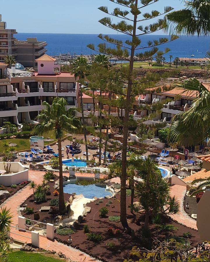 Albatros Park Amarilla Golf Piscina Climatizada, Wifi Apartment ซานมิเกลเดียโบนา ภายนอก รูปภาพ