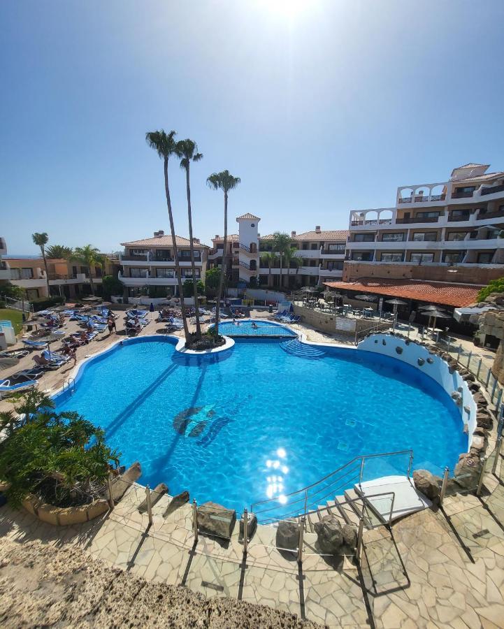 Albatros Park Amarilla Golf Piscina Climatizada, Wifi Apartment ซานมิเกลเดียโบนา ภายนอก รูปภาพ