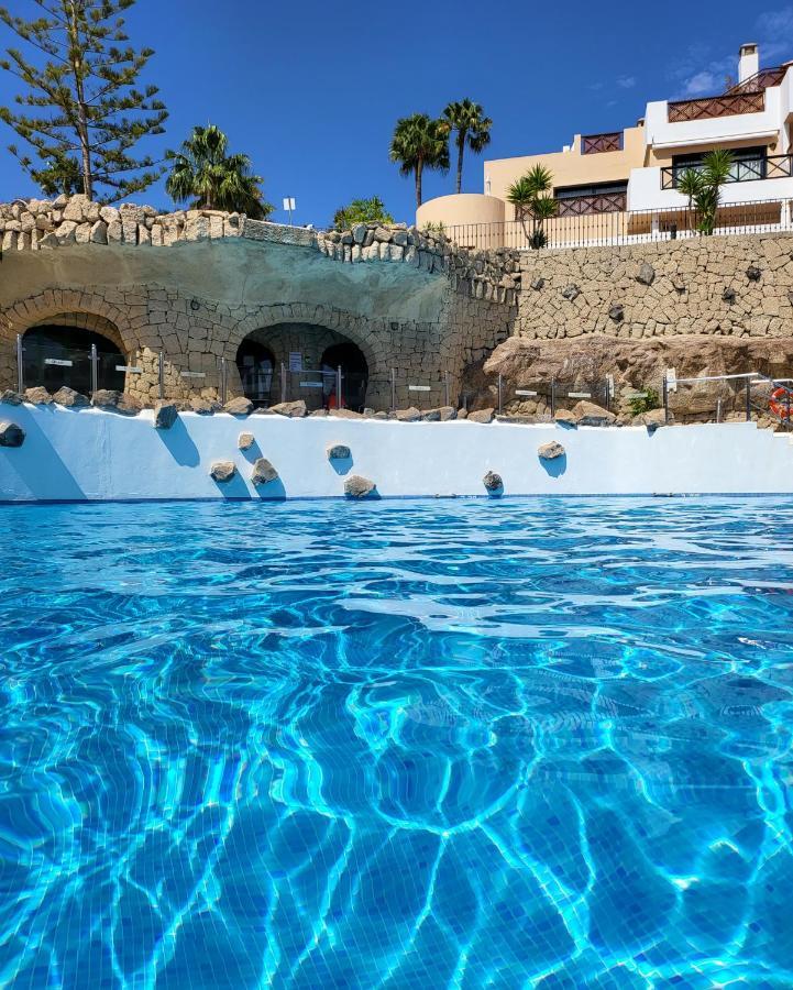 Albatros Park Amarilla Golf Piscina Climatizada, Wifi Apartment ซานมิเกลเดียโบนา ภายนอก รูปภาพ